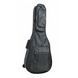 Чехол для гитары Proel BAG200PN PR-0424 фото