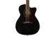 FENDER PM-3CE TRIPLE-O MAHOGANY BLACK TOP LTD Гітара електроакустична