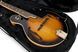 Gator GL-MANDOLIN GC-0455 фото 2