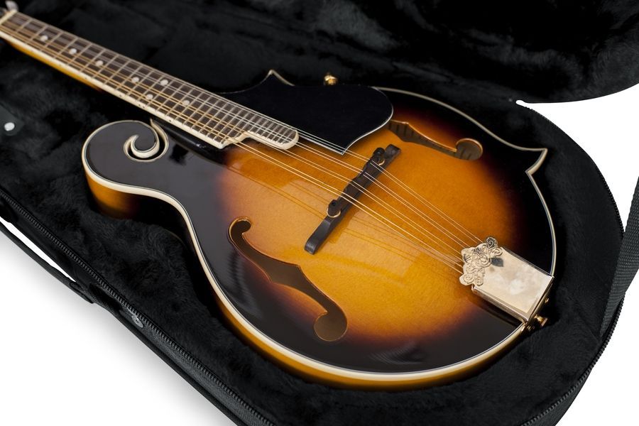 Gator GL-MANDOLIN GC-0455 фото