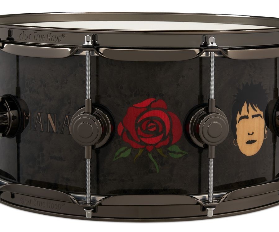 DW DREX6514SSN-AGAlex Gonzalez DW ICON Snare Drum DW-X310 фото