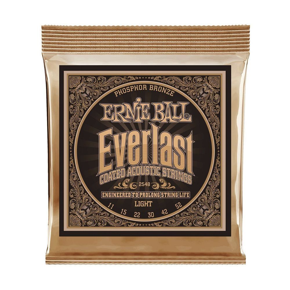 Струни для акустичної гітари 11-52 Ernie Ball P02548 EB-0022 фото