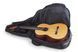 RockBag RB 20458 B Classical Guitar Gig Bag RB-0098 фото 6