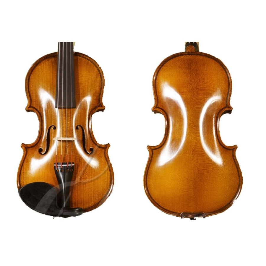 Скрипка Gliga Violin Genial II фото 2