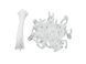 EUROLITE RUBBERLIGHT LED RL1-230V red 9m EL-1412 фото 4