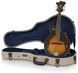 Gator GW-JM MANDOLIN GC-0497 фото 9