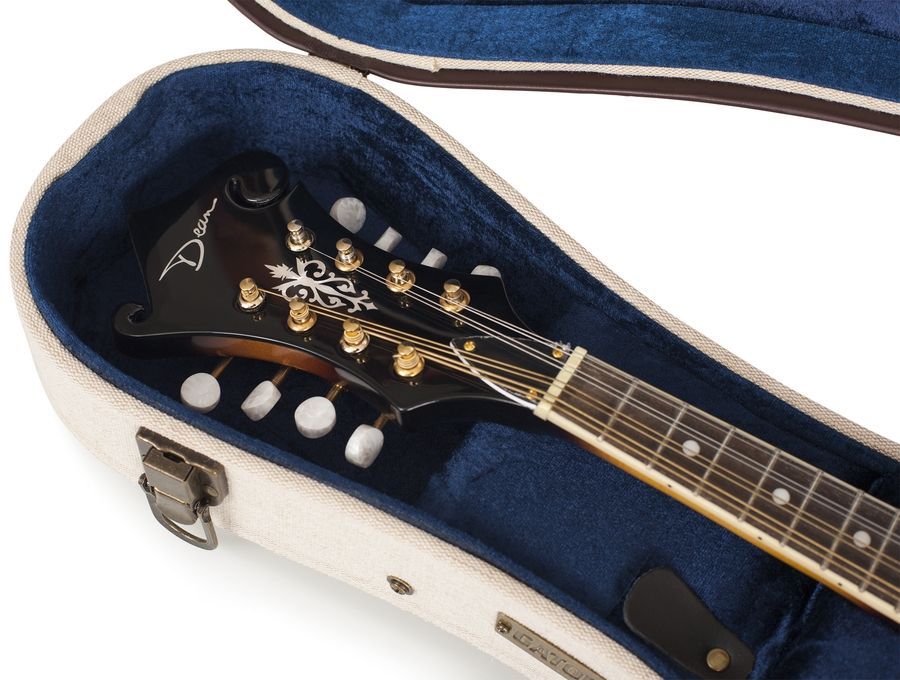 Gator GW-JM MANDOLIN GC-0497 фото