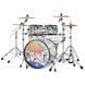 PDP PDLT221425TH 25th Anniversary Acrylic Kit, 4-Pc PD-0056 фото 2