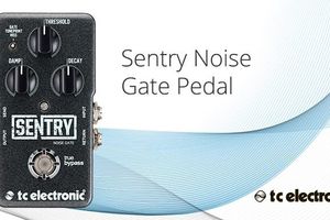 Педаль эффектов Sentry Noise Gate от TC Electronic