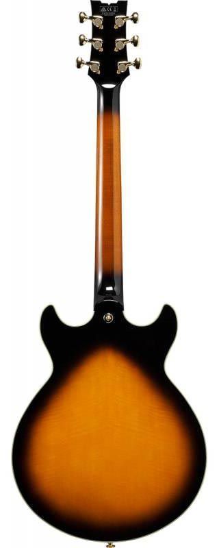 IBANEZ AM2000H-BS Гитара полуакустическая IB-0055 фото