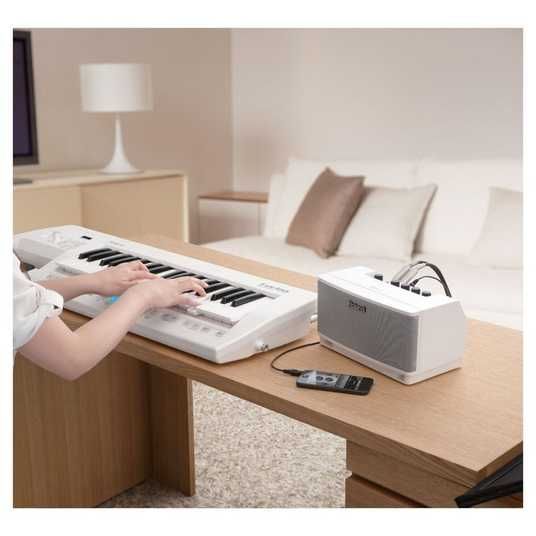 Клавишный комбоусилитель Roland Cube Lite Monitor — купить от