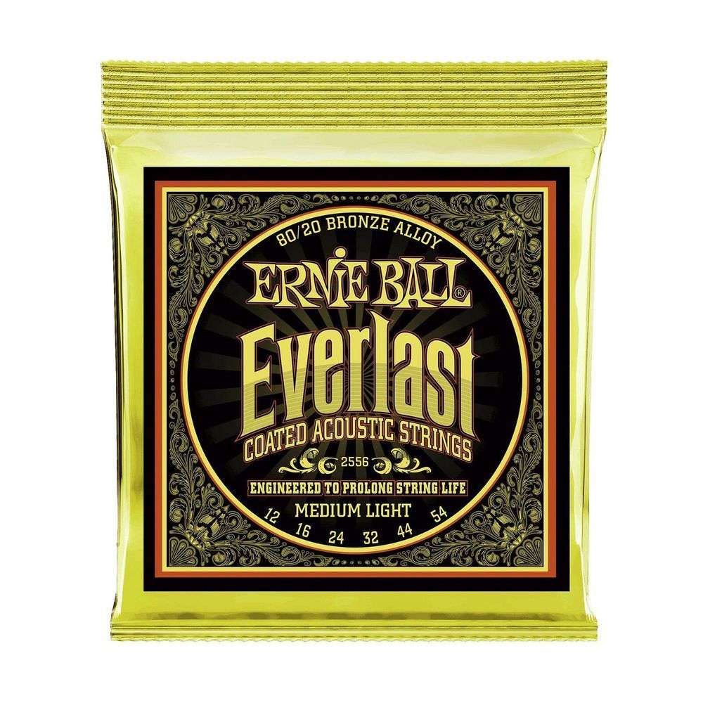 Струни для акустичної гітари 12-54 Ernie Ball P02556 EB-0027 фото