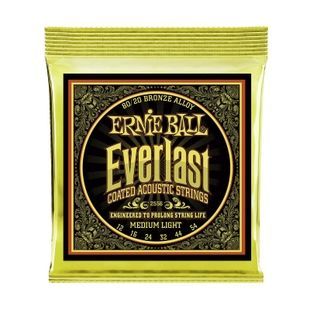 Струни для акустичної гітари 12-54 Ernie Ball P02556 EB-0027 фото