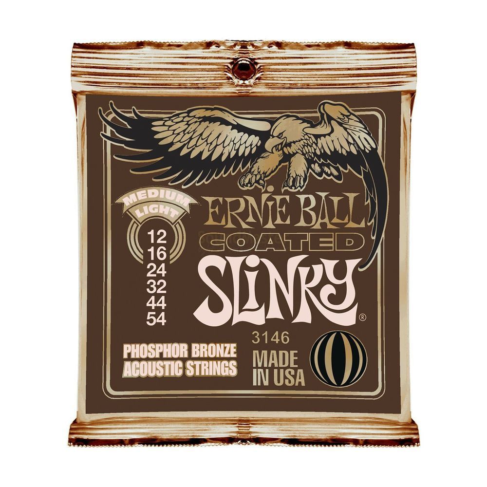 Струни для акустичної гітари 12-54 Ernie Ball P03146 EB-0108 фото