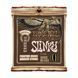 Струни для акустичної гітари 12-54 Ernie Ball P03146 EB-0108 фото