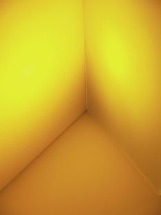 EUROLITE Dichro, yellow, frosted, 165x132mm EL-0458 фото