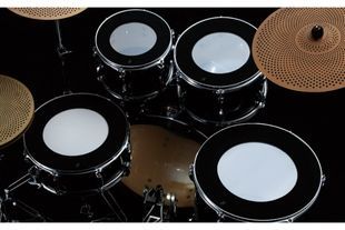 TAMA SSRP52K Демпферные кольца TM-0190 фото