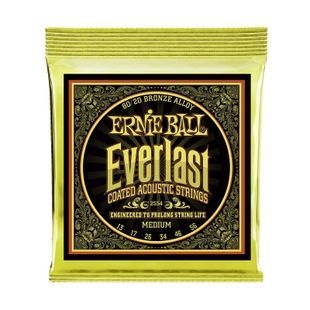 Струни для акустичної гітари 13-56 Ernie Ball P02554 EB-0029 фото