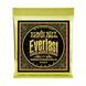 Струни для акустичної гітари 13-56 Ernie Ball P02554 EB-0029 фото