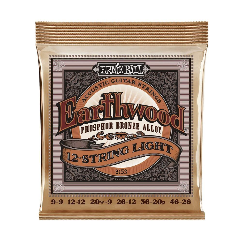 Струни для акустичної гітари 9-46 Ernie Ball P02153 EB-0008 фото