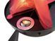 EUROLITE LED FL-250 Flamelight EL-0754 фото 3