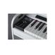 Цифрове піаніно Dexibell Vivo H7 Біле лаковане