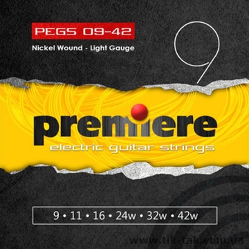 Струни для електрогітари Premiere Strings PEGS09 42 фото 1