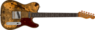 FENDER CUSTOM SHOP ARTISAN BUCKEYE BURL DOUBLE ESQUIRE CUSTOM THINLINE NOS NAMM LIMITED Электрогитара FE-0301 фото