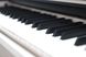Цифровое пианино Pearl River V03 белое