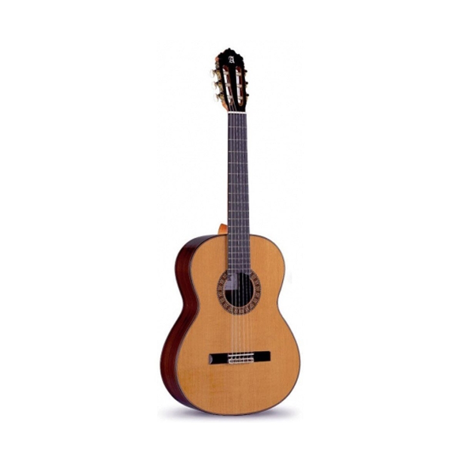 Класична гітара Alhambra 6P 4/4 фото 1