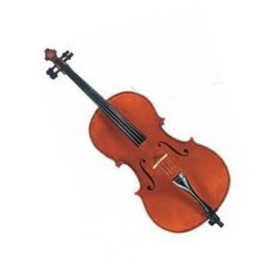 Виолончель Gliga Cello 4/4 Gama II фото 2