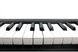 KORG MICROKEY2-37 MIDI клавіатура, Чорний матовий