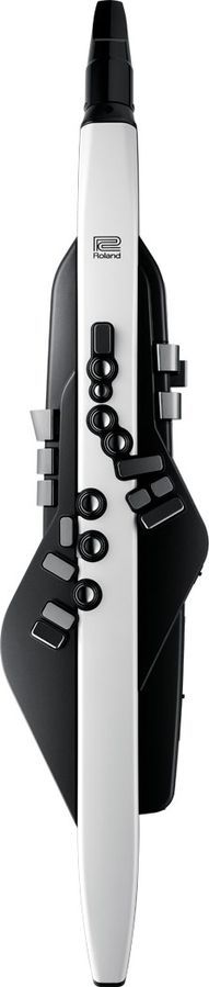Аерофон Roland AE20 RO-2867 фото