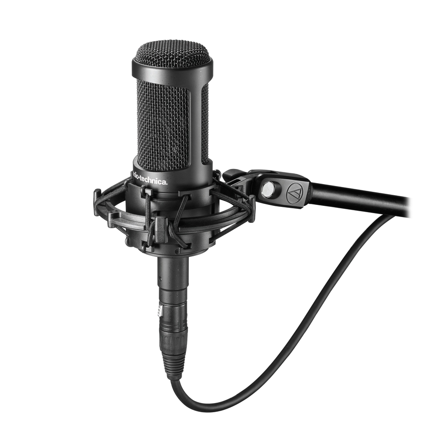 Студийный микрофон Audio-Technica AT2035 фото 2