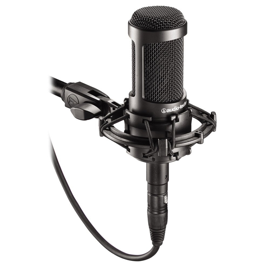 Студийный микрофон Audio-Technica AT2035 фото 3