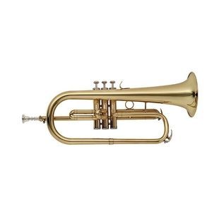 Флюгельгорн Stagg WS-FH215S ST-0526 фото