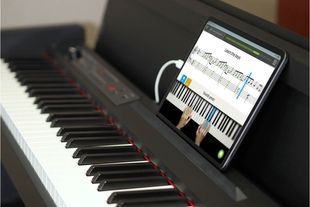 KORG LP-380-RWBK U Цифровое пианино KO-0137 фото