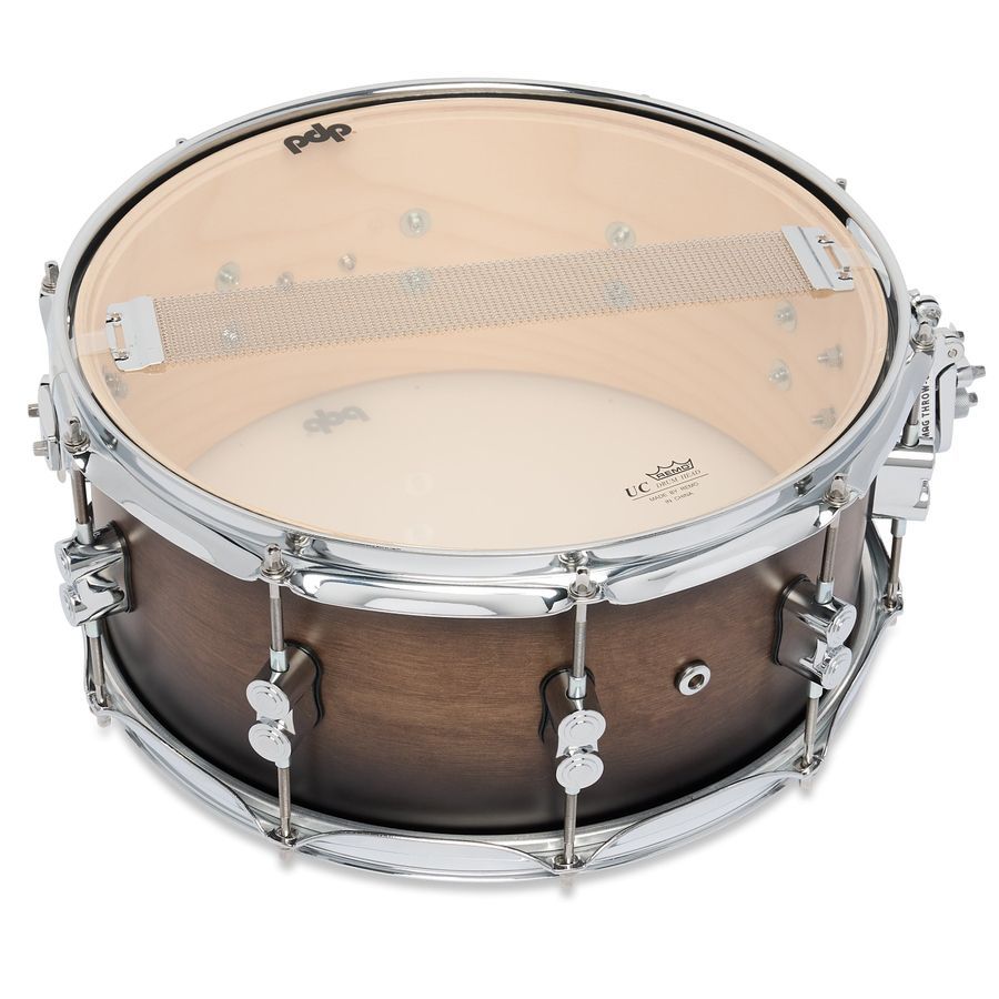 PDP PDCM6514SSSCB Concept Maple Snare, 6.5x14" PD-0305 фото