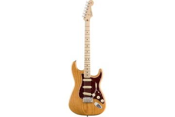 FENDER AMERICAN PROFESSIONAL LIMITED EDITION STRATOCASTER MN AGN Электрогитара фото 1