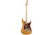 FENDER AMERICAN PROFESSIONAL LIMITED EDITION STRATOCASTER MN AGN Электрогитара