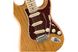 FENDER AMERICAN PROFESSIONAL LIMITED EDITION STRATOCASTER MN AGN Електрогітара
