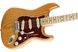 FENDER AMERICAN PROFESSIONAL LIMITED EDITION STRATOCASTER MN AGN Електрогітара