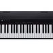 Цифровое фортепиано Roland GO Piano 88 P, Черный матовый
