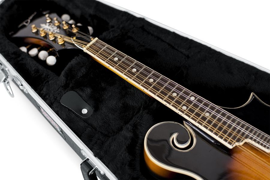 Gator GC-MANDOLIN GC-0443 фото