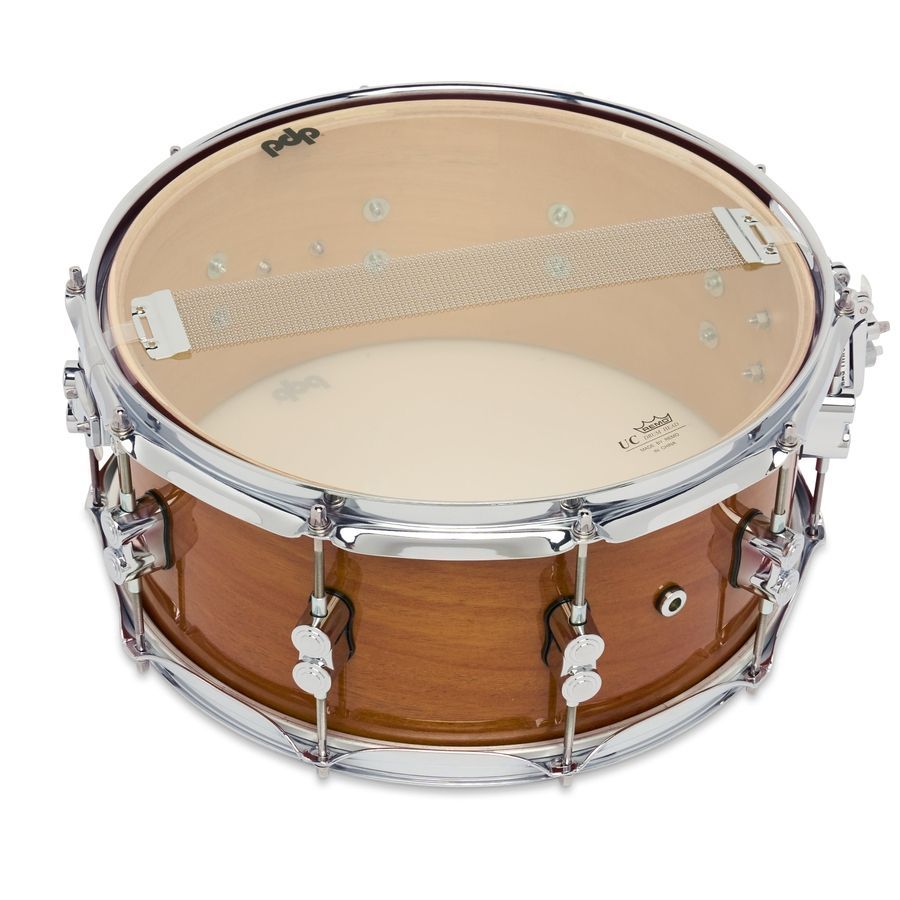PDP PDCMX6514SSHM Concept Maple Exotic Snare, 6.5x14" PD-0309 фото