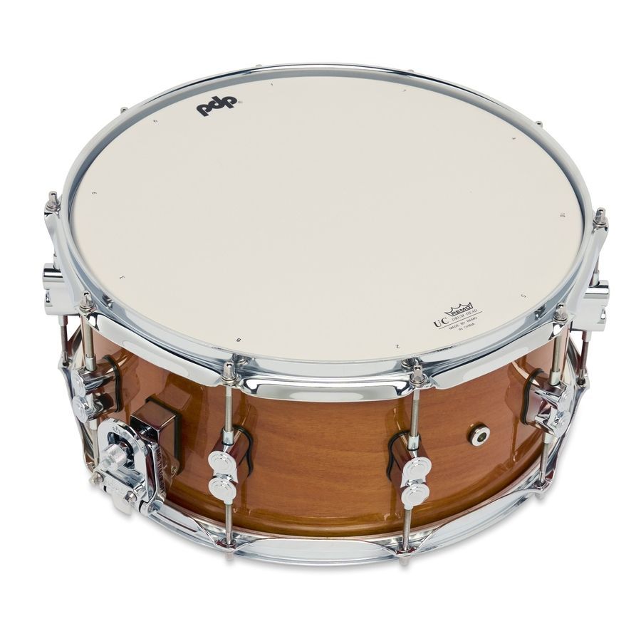 PDP PDCMX6514SSHM Concept Maple Exotic Snare, 6.5x14" PD-0309 фото